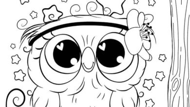 Sevimli Baykuş ve Yıldızlar Boyama Sayfası İçin Başlık