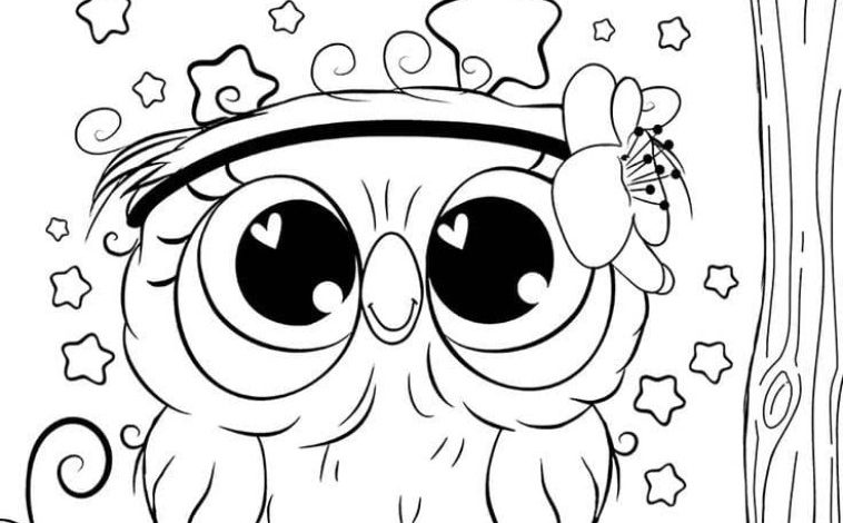 Sevimli Baykuş ve Yıldızlar Boyama Sayfası İçin Başlık