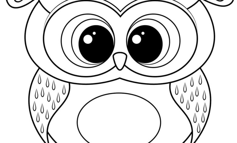 Sevimli Baykuş Boyama Sayfası - Çocuklar İçin Eğlenceli ve Eğitici