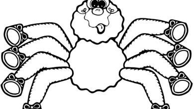 Komik Yüzlü Örümcek Boyama Sayfası - Çocuklar İçin Eğlenceli Aktivite