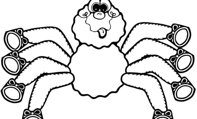 Komik Yüzlü Örümcek Boyama Sayfası - Çocuklar İçin Eğlenceli Aktivite