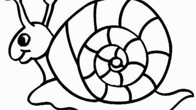 Sevimli Salyangoz Boyama Sayfası Çocuklar için Eğlenceli ve Eğitici Etkinlik