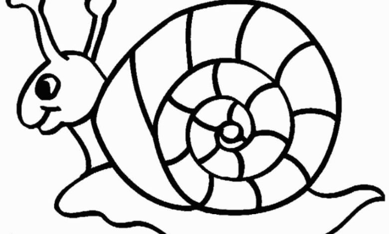 Sevimli Salyangoz Boyama Sayfası Çocuklar için Eğlenceli ve Eğitici Etkinlik