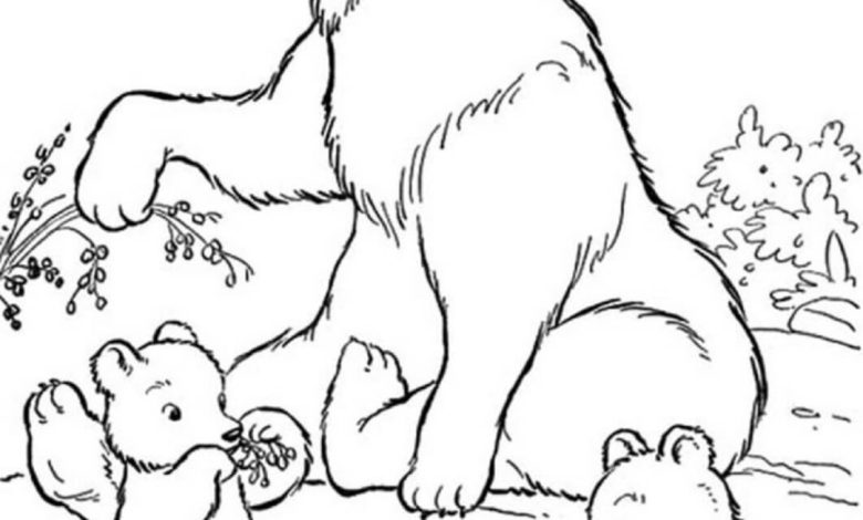 Sevimli Anne Ayı ve Yavruları Boyama Sayfası