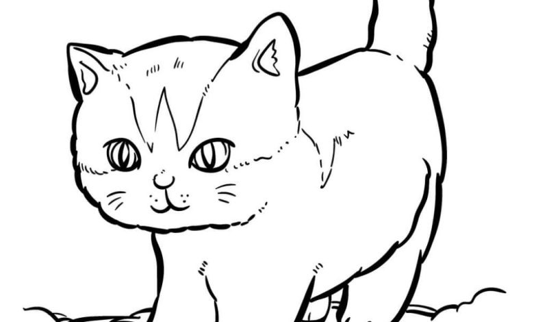 Tatlı Yavru Kedi Boyama Sayfası