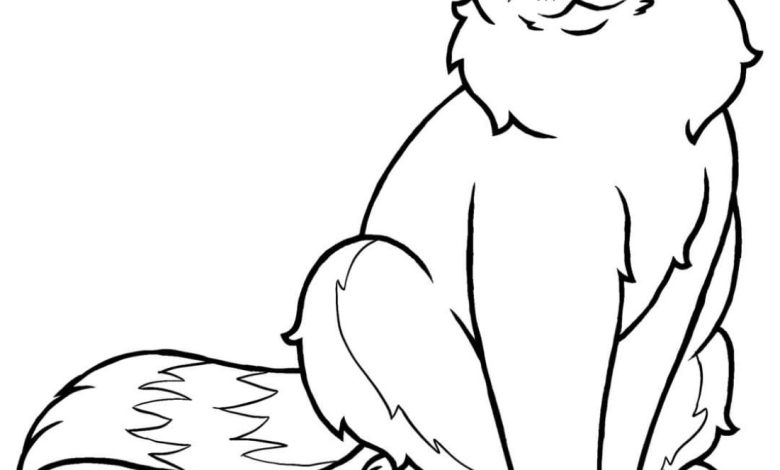 Sevimli Kedi Çizim Boyama Sayfası - Etkileyici ve Eğlenceli