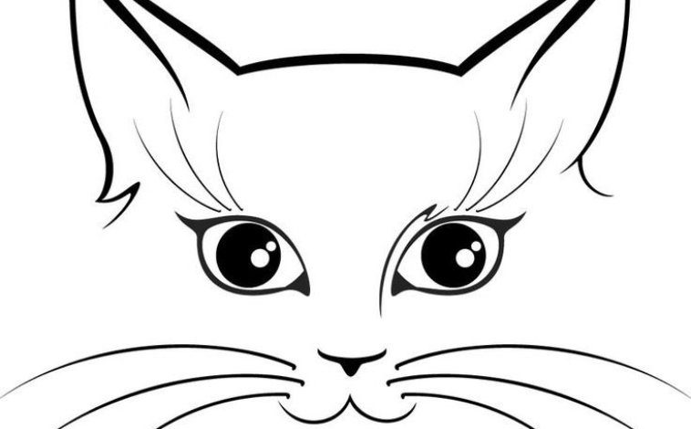 Kedi Yüzü Boyama Sayfası - Eğlenceli ve Yaratıcı Etkinlikler İçin İdeal