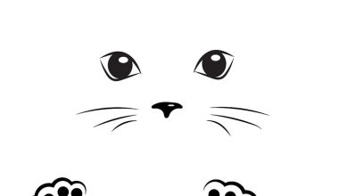 Komik Kedi Yüzü Boyama Sayfası - Kolay ve Eğlenceli Desenler