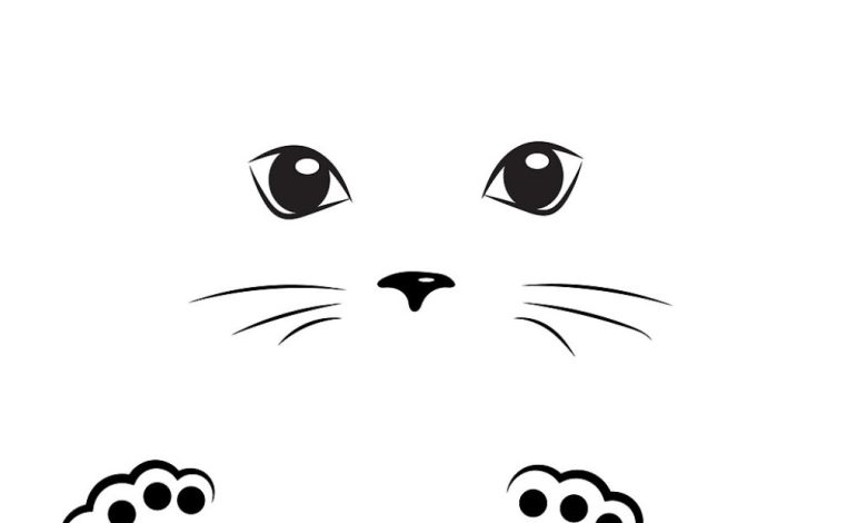 Komik Kedi Yüzü Boyama Sayfası - Kolay ve Eğlenceli Desenler