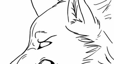 Öfkeli Kurt Boyama Sayfası - Kurt Baş Çizimi