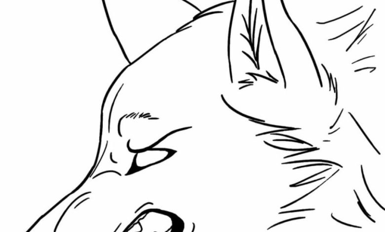 Öfkeli Kurt Boyama Sayfası - Kurt Baş Çizimi