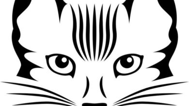 Kedi Yüzü Çizim Boyama Sayfası - Siyah Beyaz Minimalist Kedi Illüstrasyonu
