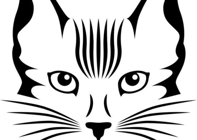 Kedi Yüzü Çizim Boyama Sayfası - Siyah Beyaz Minimalist Kedi Illüstrasyonu