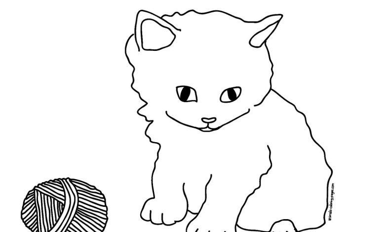 Boyama Sayfası Yavru Kedi ve Yün Yumağı