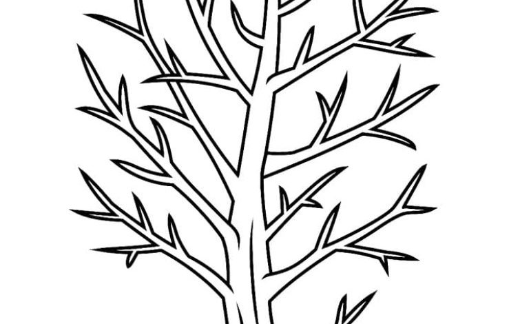 Yaprakları Olmayan Ağaç Boyama Sayfası
