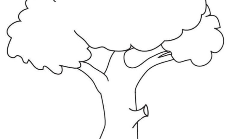 Çocuklar için Yapraklı Ağaç Boyama Sayfası