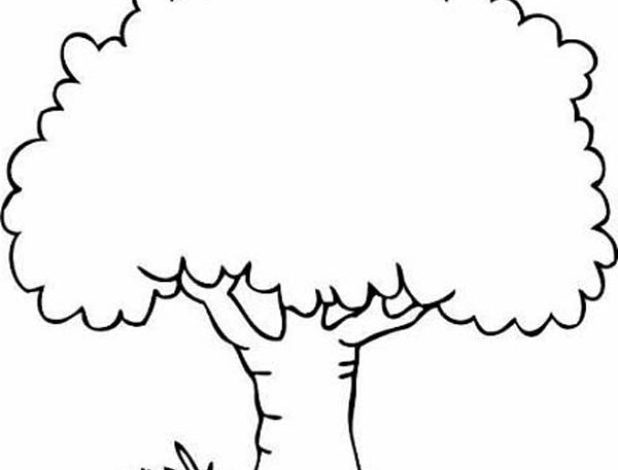 Yeşil Ağaç Boyama Sayfası - Yaratıcı Çocuk Etkinlikleri ile Eğlenceli Bir Resim