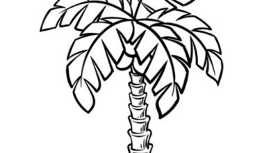 Boyama Sayfası Palmiye Ağacı