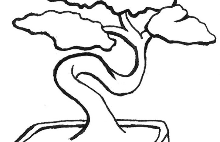 Bonsai Ağacı Boyama Sayfası Detaylı ve SEO Uyumlu Rehber