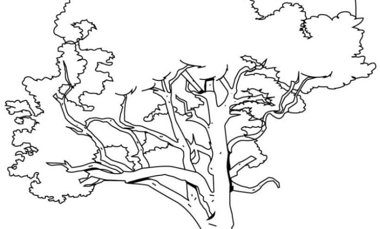 Güneş Batarken Bir Ağacın Silueti Doğa Boyama Sayfası