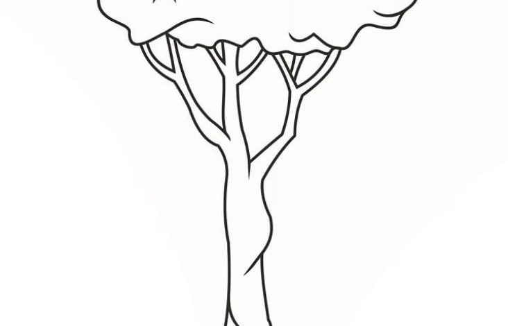 Detaylı Ağaç Boyama Sayfası (Çocuklara Uygun)