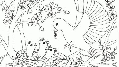 Bahar Dalında Yuva Yapmış ve Yavrularına Yem Veren Kuş Boyama Sayfası