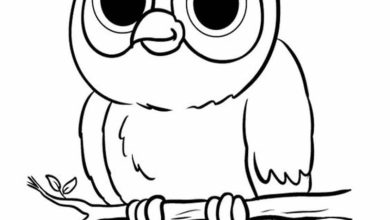 Şirin Baykuş Boyama Sayfası - Çocuklar için Eğlenceli ve Eğitici