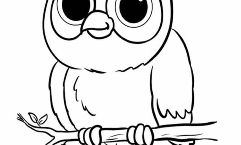 Şirin Baykuş Boyama Sayfası - Çocuklar için Eğlenceli ve Eğitici