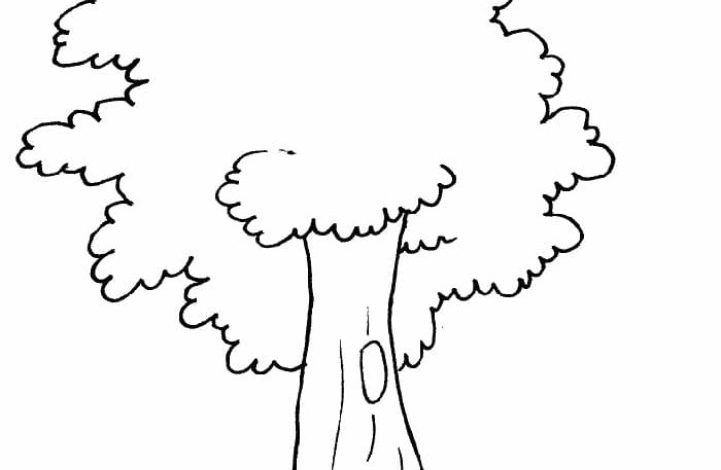Ağaç Boyama Sayfası - Çocuklar İçin Eğitici ve Eğlenceli