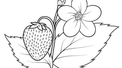 Çilek ve Çiçek Boyama Sayfası - Detaylı Çizimle Renkli Eğlence