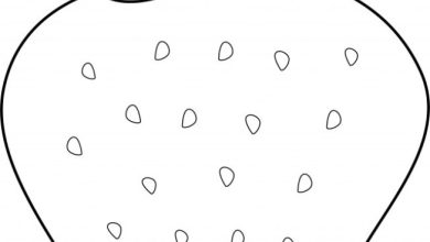 Boyama Sayfası Çilek Desenli Çizim