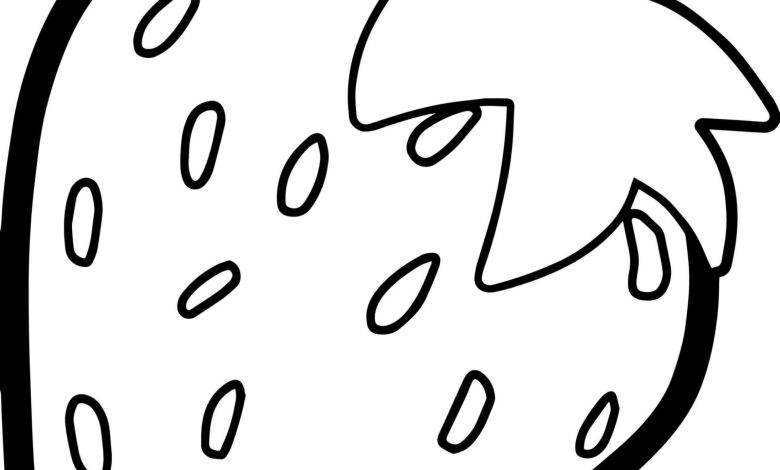 Çilek Boyama Sayfası - Eğitici ve Eğlenceli Çilek Çizimi