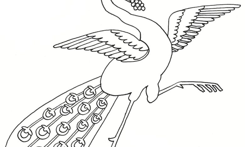 Çocuklar İçin Renklendirme Kitabı Tavus Kuşu Deseni Boyama Sayfası