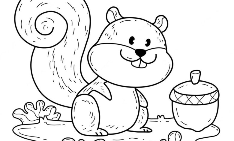 Sevimli Sincap Boyama Sayfası