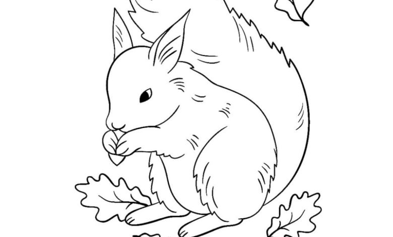 Sevimli Sincap Boyama Sayfası ile Sonbahar Eğlencesi