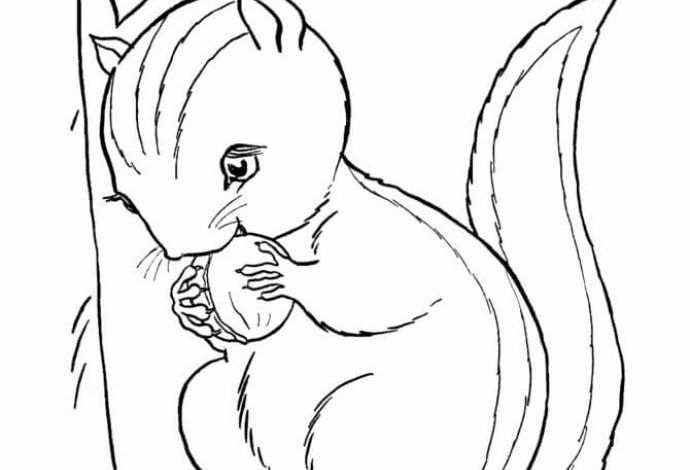 Sevimli Sincap Boyama Sayfası - Çocuklar İçin Eğlenceli Doğa Çizimi