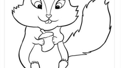 Sevimli Sincap Boyama Sayfası İle Eğlenceli Aktivite