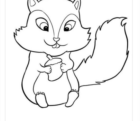 Sevimli Sincap Boyama Sayfası İle Eğlenceli Aktivite