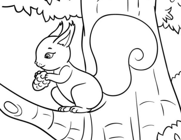 Sevimli Sincap Boyama Sayfası - Çocuklar İçin Eğitici Aktivite