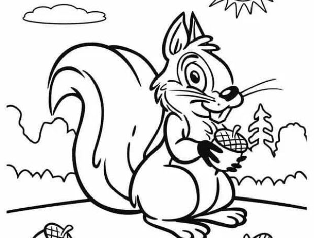 Sevimli Sincap Boyama Sayfası Güneşli Bir Gün ve Meşe Palamutları