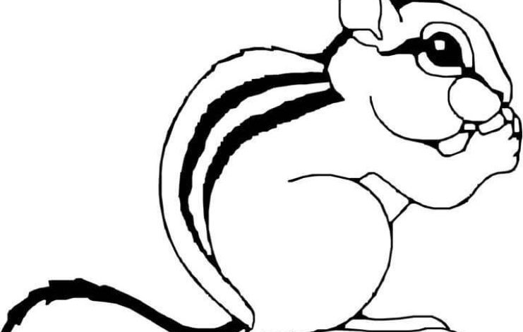 Çizgili Sincap Boyama Sayfası - Sevimli Hayvan Figürlü Boyama Sayfası