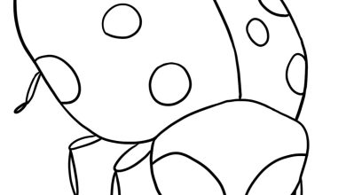 Sevimli Uğur Böceği Boyama Sayfası - Çocuklar İçin Eğlenceli ve Eğitici Aktivite