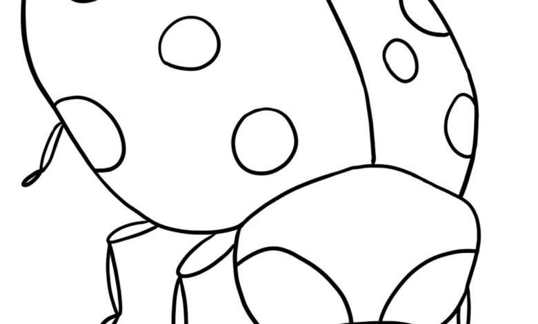 Sevimli Uğur Böceği Boyama Sayfası - Çocuklar İçin Eğlenceli ve Eğitici Aktivite