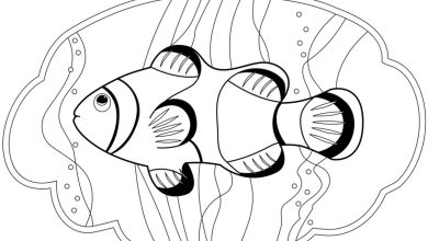 Clownfish Boyama Sayfası Denizdeki Renkli Dünyanıza İlk Adımı Atın