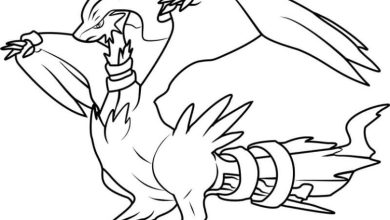 Legendary Dragon Type Pokémon Reshiram Boyama Sayfası