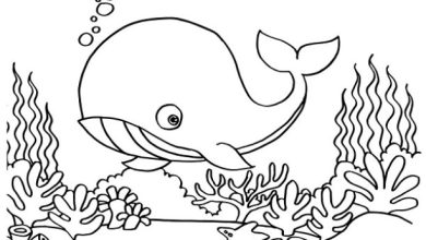Renkli Balina ve Denizaltı Yaşamı Boyama Sayfası