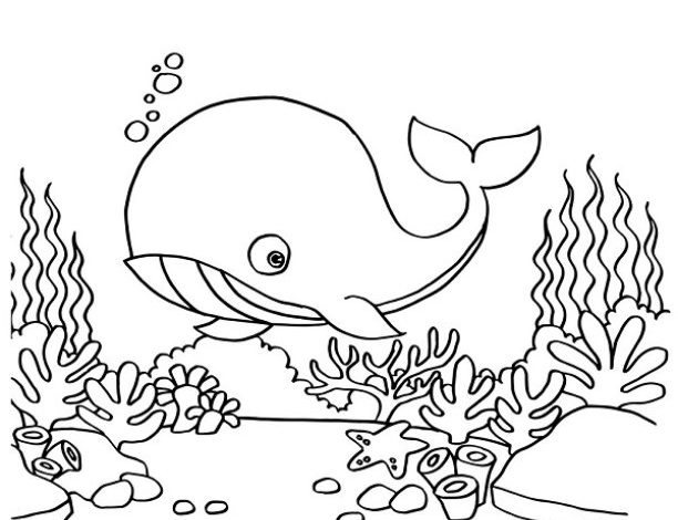 Renkli Balina ve Denizaltı Yaşamı Boyama Sayfası