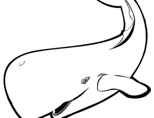 Boyama Sayfası İçin Balina Çizim Görseli