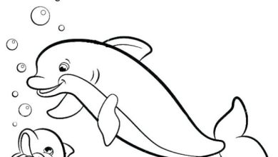 Eğlenceli Yunus Balığı ve Yavru Yunus Boyama Sayfası