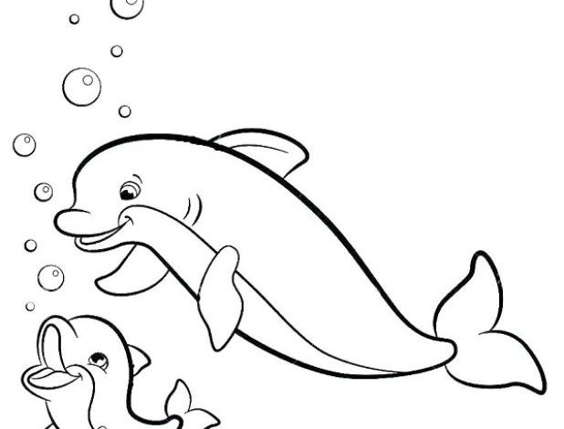 Eğlenceli Yunus Balığı ve Yavru Yunus Boyama Sayfası